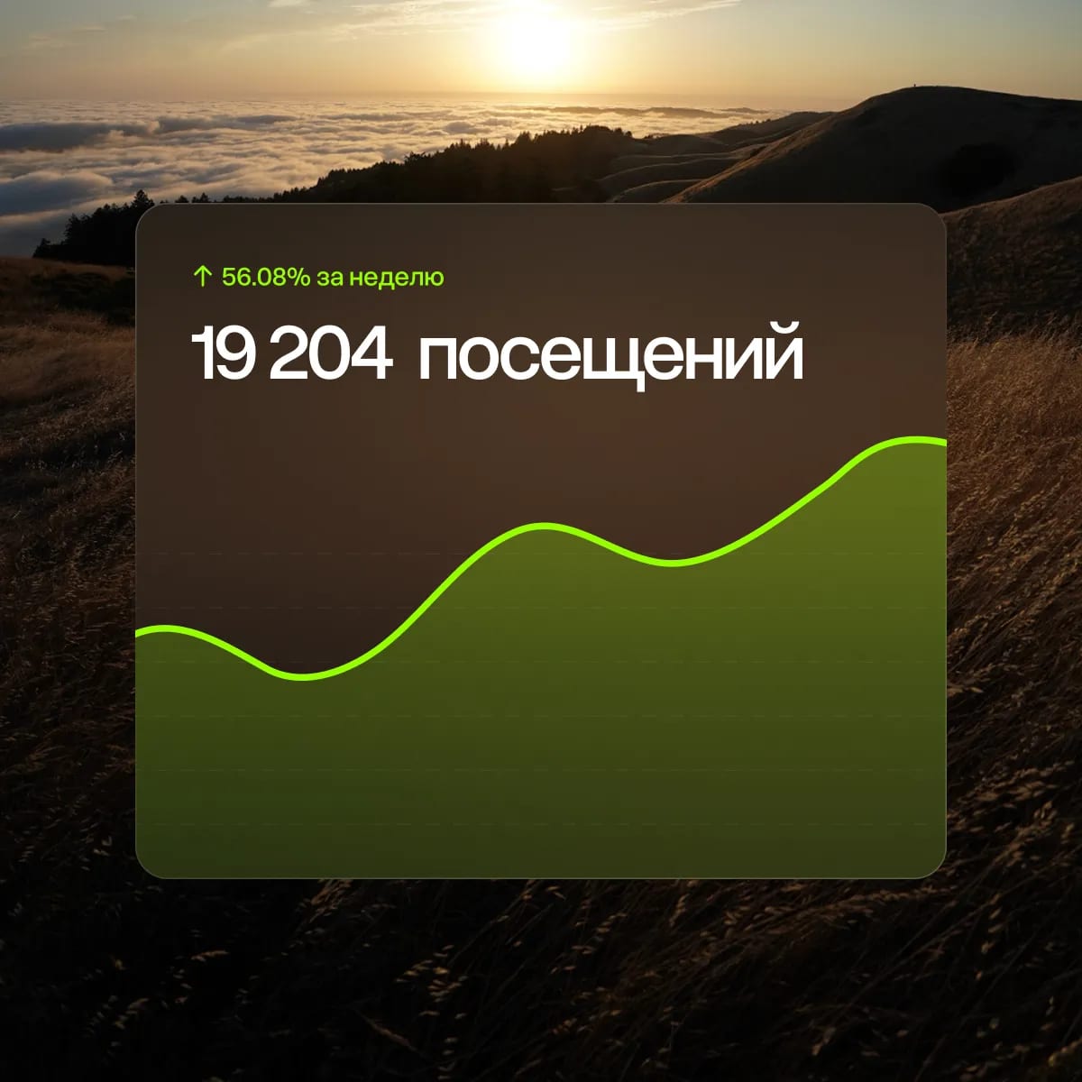 Продвижение сайтов