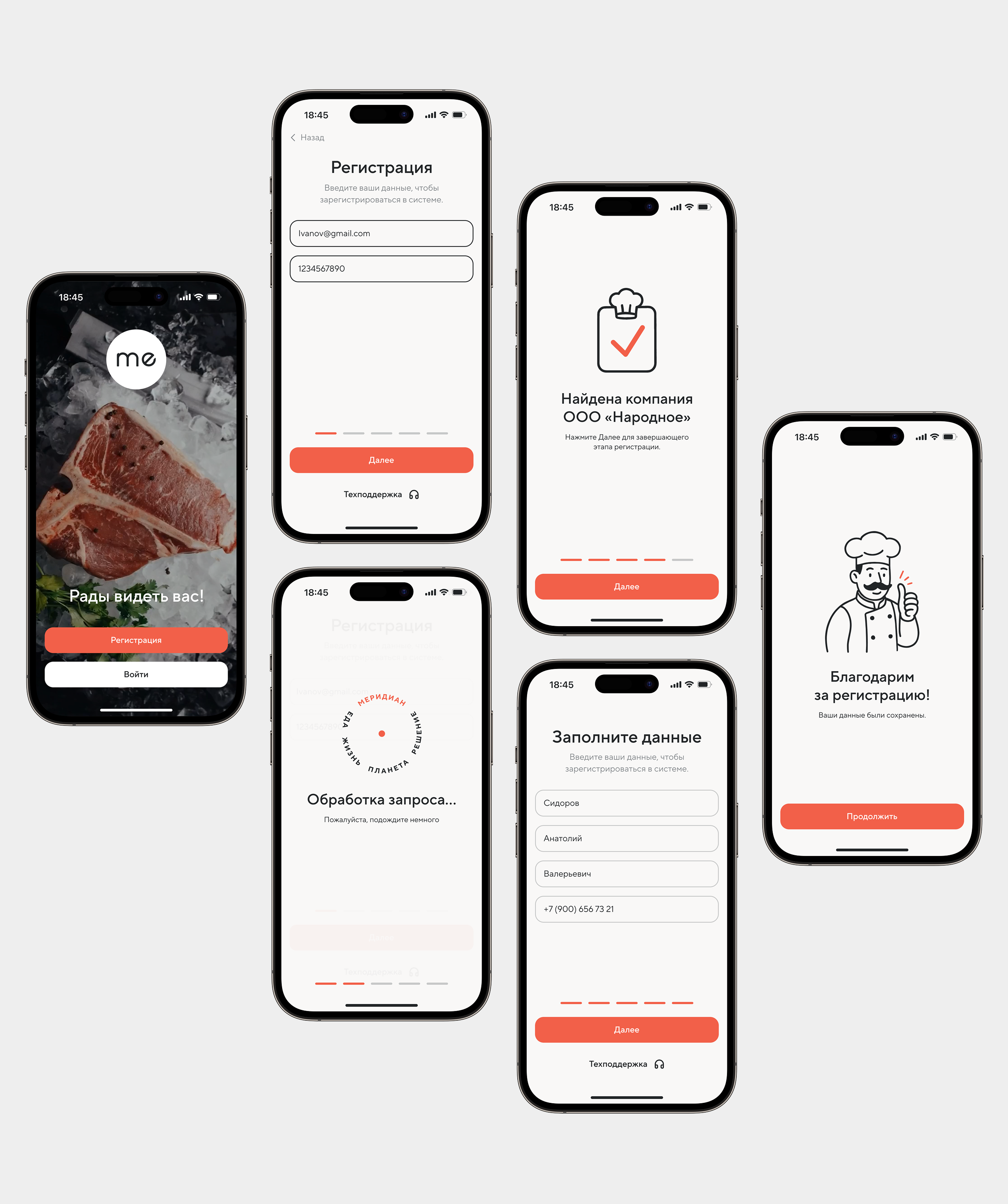 Меридиан - основное изображение